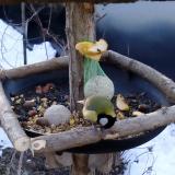 photo 2019-01-15 07-53-16