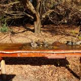 photo 2021-10-27 11-11-36