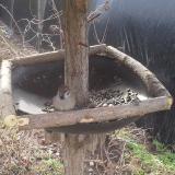 photo 2019-03-15 08-59-13