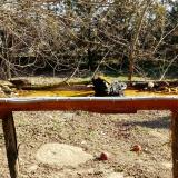 photo 2021-03-13 09-22-41