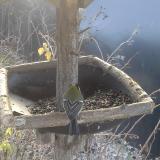 photo 2019-12-29 09-58-07