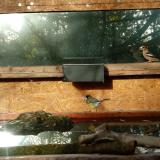 photo 2023-10-24 08-51-39