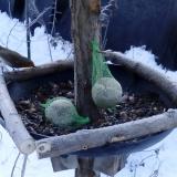 photo 2019-01-11 10-16-11