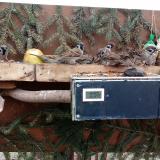 photo 2021-02-03 15-01-29