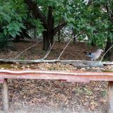 photo 2021-09-20 10-01-05