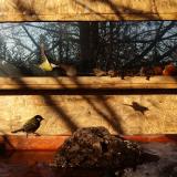 photo 2022-01-24 09-25-52