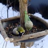 photo 2019-01-11 13-12-57