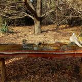 photo 2021-10-26 14-36-37