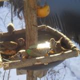 photo 2019-01-27 10-06-58