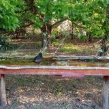 photo 2021-05-09 06-16-16