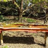 photo 2021-04-12 09-50-42