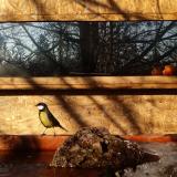 photo 2022-01-24 09-30-30