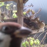 photo 2019-12-10 10-36-02