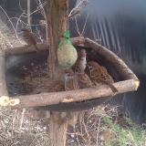 photo 2019-02-10 14-53-33