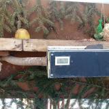 photo 2021-02-12 10-35-36