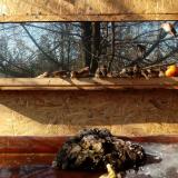 photo 2022-01-24 12-13-22