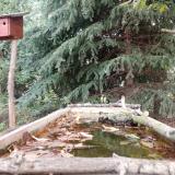 photo 2023-10-09 11-37-48