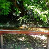 photo 2021-05-21 10-23-21