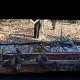 photo 2021-11-11 14-26-01