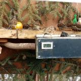 photo 2021-02-14 12-39-17