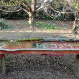 photo 2021-04-09 18-03-13