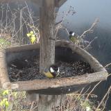 photo 2019-12-26 08-21-38