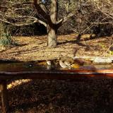 photo 2021-10-25 14-35-44