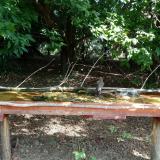 photo 2021-08-04 10-16-58