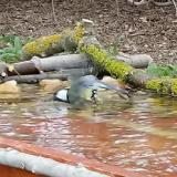 photo 2021-04-03 12-42-31 cinke