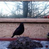 photo 2022-01-21 07-10-56