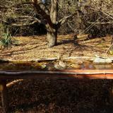 photo 2021-10-25 14-26-28