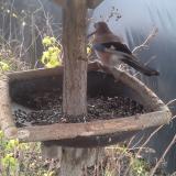 photo 2019-12-22 11-30-57