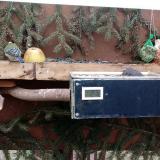 photo 2021-02-07 10-27-14