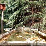 photo 2023-10-17 13-15-09