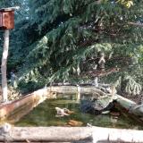 photo 2023-10-14 09-18-10