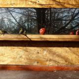 photo 2022-01-15 10-51-14