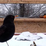 photo 2022-01-22 08-00-51