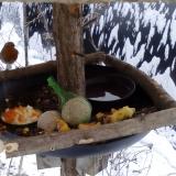 photo 2019-01-22 08-06-47