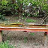 photo 2021-04-26 15-20-30