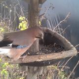 photo 2019-12-22 11-57-15