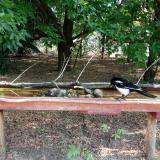 photo 2021-07-13 07-36-23