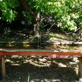 photo 2021-05-10 11-02-37