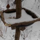 photo 2019-01-05 11-23-47