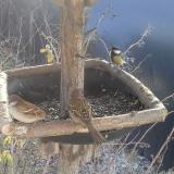 photo 2019-12-31 11-12-26