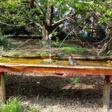 photo 2021-04-22 16-08-39