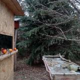 photo 2021-12-23 13-49-39