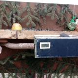 photo 2021-02-07 11-02-47