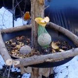 photo 2019-01-14 12-25-55