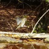 photo 2021-10-19 13-25-12 zoldike