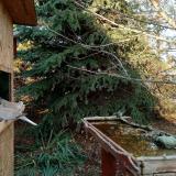 photo 2021-11-18 14-29-07